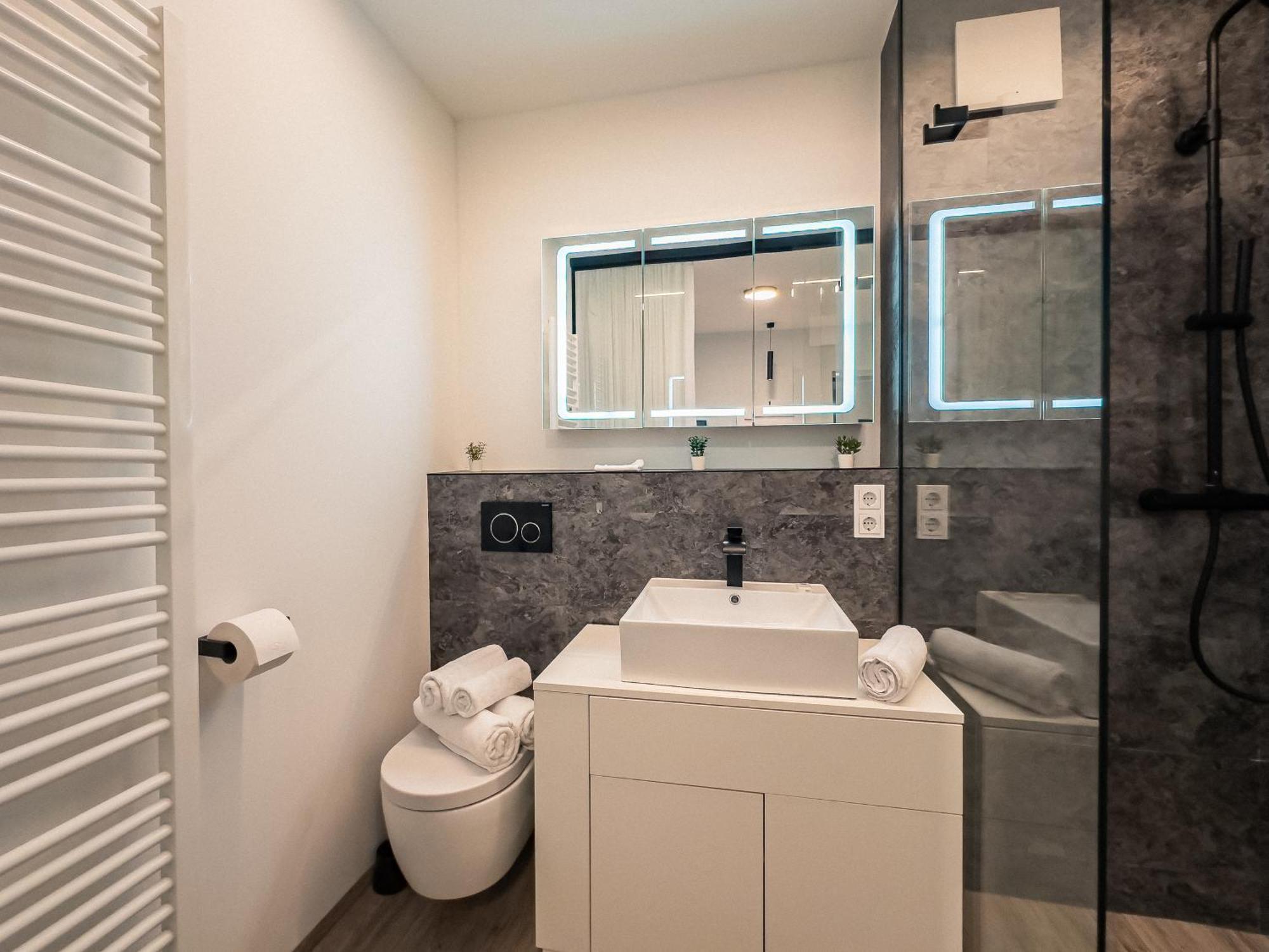 Crest - Riverside Lofts Mit Parken I Balkon I Kueche I Regendusche باساو المظهر الخارجي الصورة